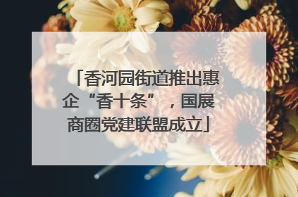 香河园街道推出惠企“香十条”，国展商圈党建联盟成立
